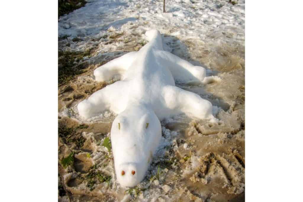 Snöskulptur i form av en krokodil