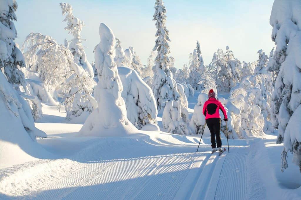 Längdskidor i snörikt skogslandskap
