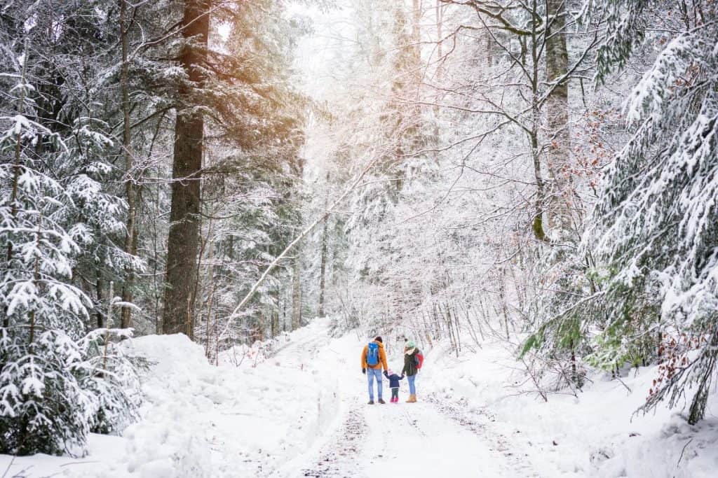 Familj på promenad i skogen i snön, en solig vinterdag